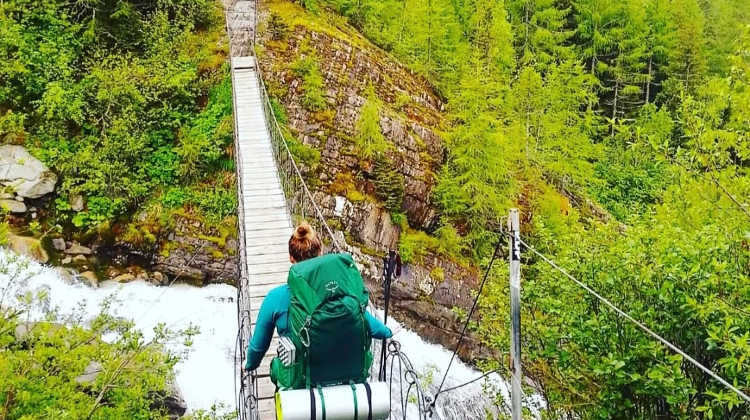The Picnic Along the Way