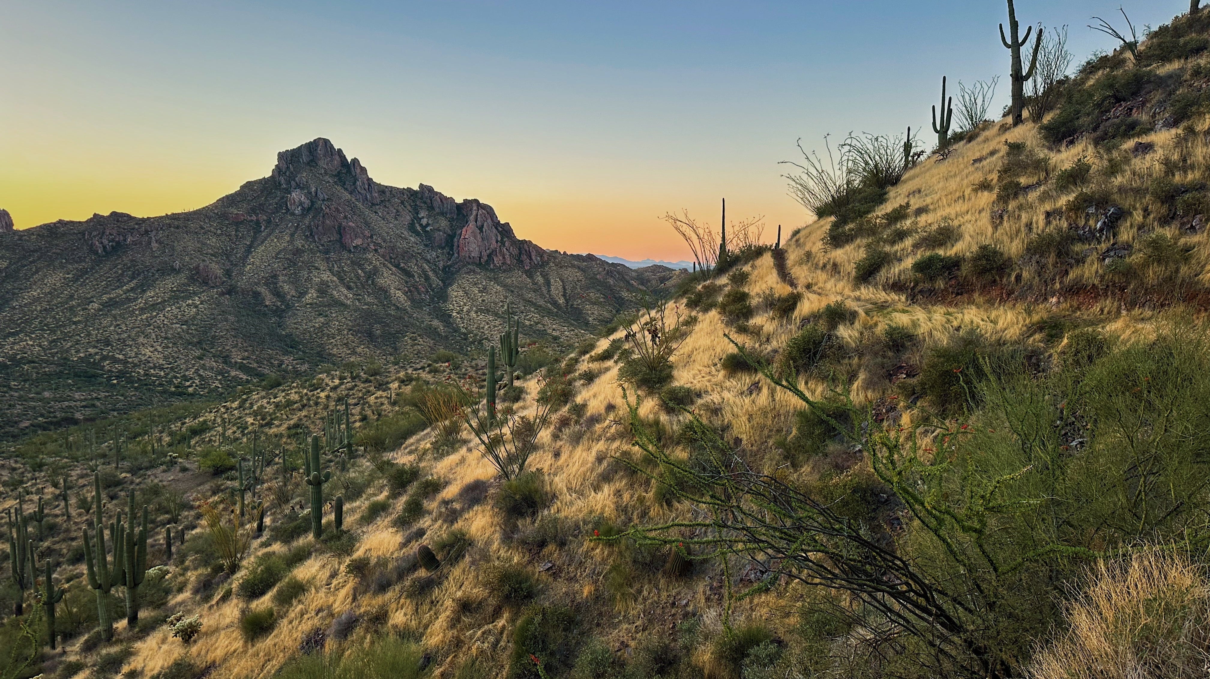 The Arizona Trail: 800 Miles of Dirt, Delusion, and Dehydration
