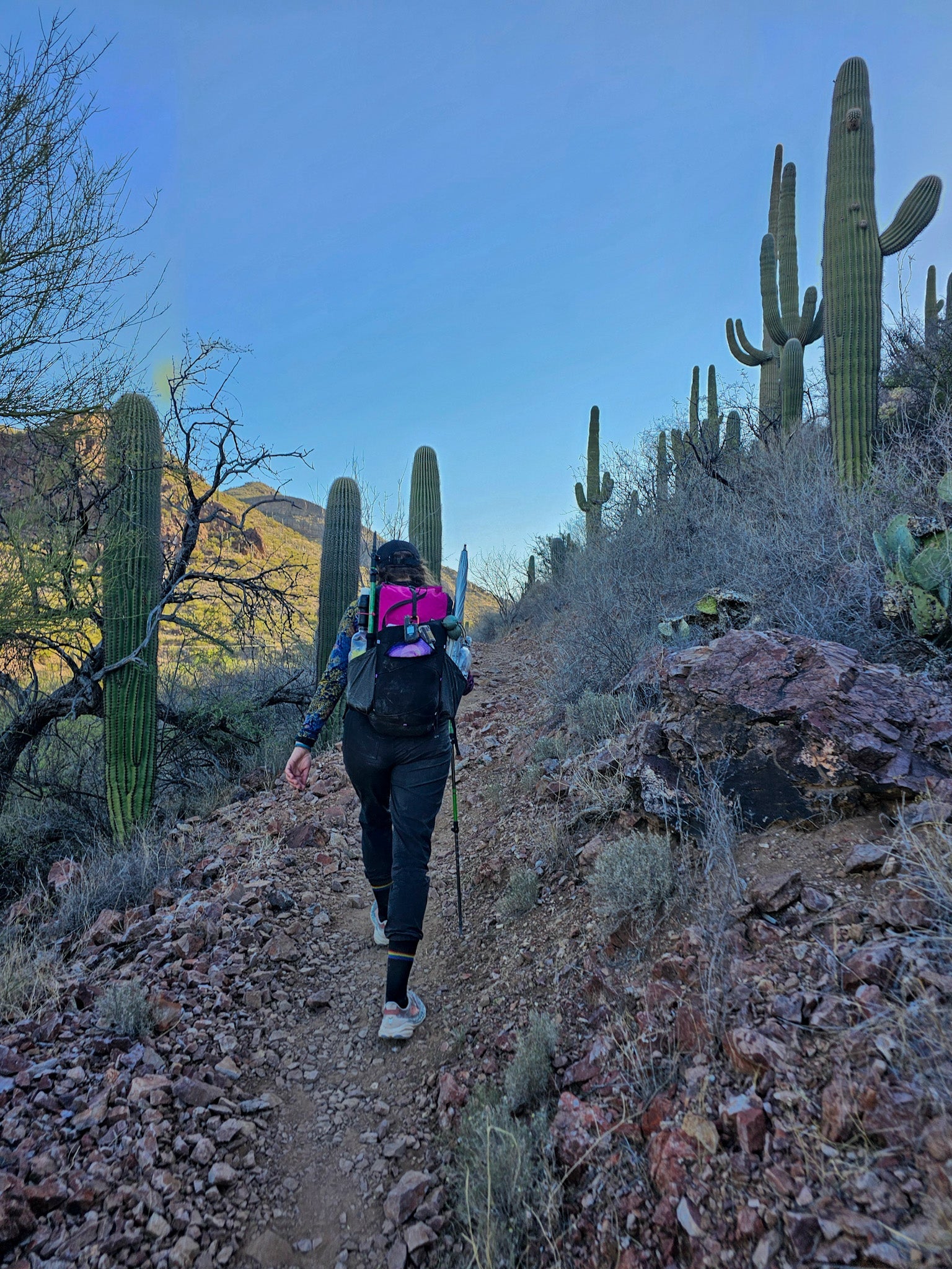 Meet Jocelyn | Ambassador 2026