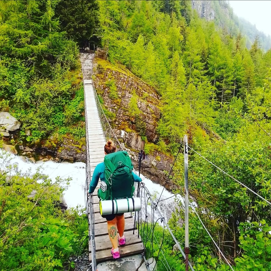 The Picnic Along the Way