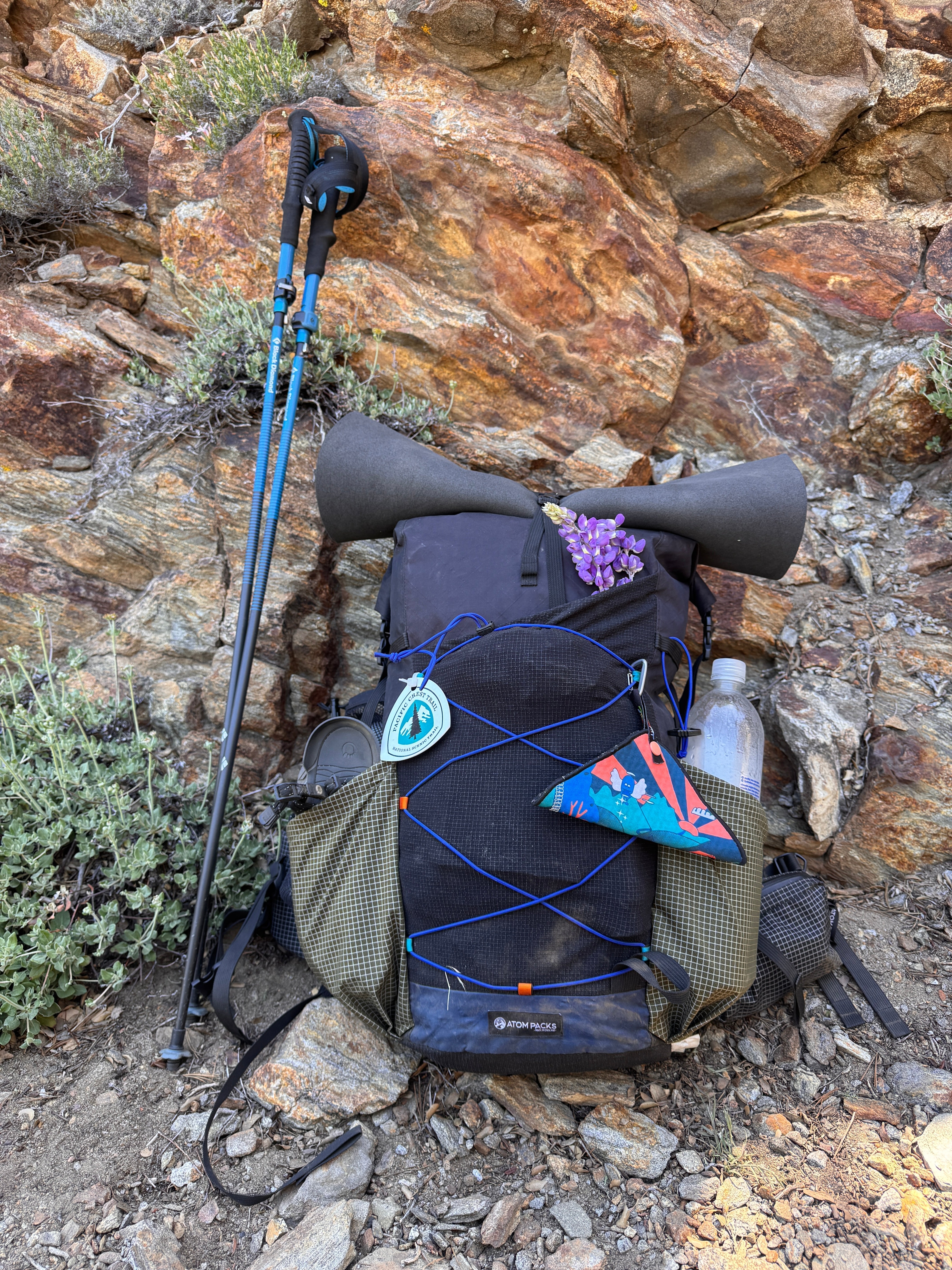 On the PCT with a Notch