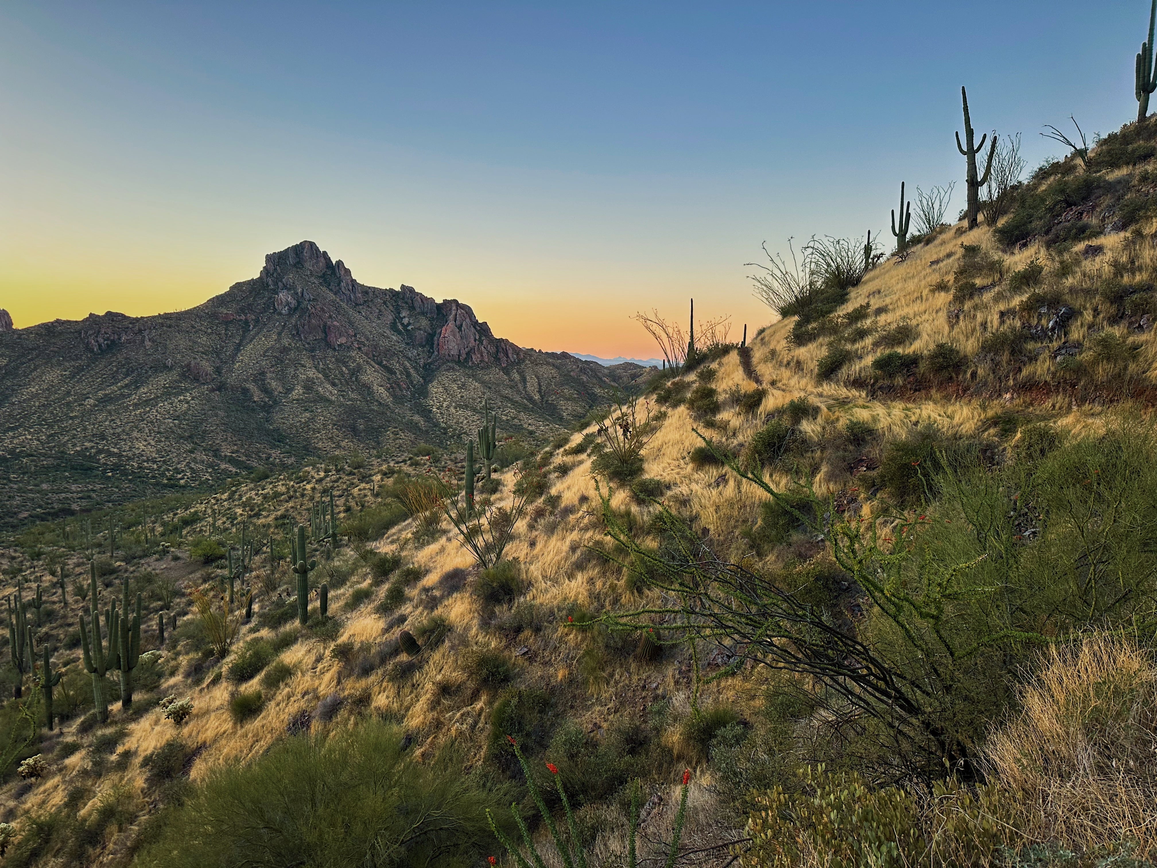 The Arizona Trail: 800 Miles of Dirt, Delusion, and Dehydration